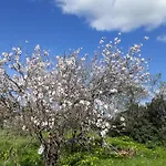 Alojamento de Acomodação e Pequeno-almoço S'arrosa Antiga Santadi