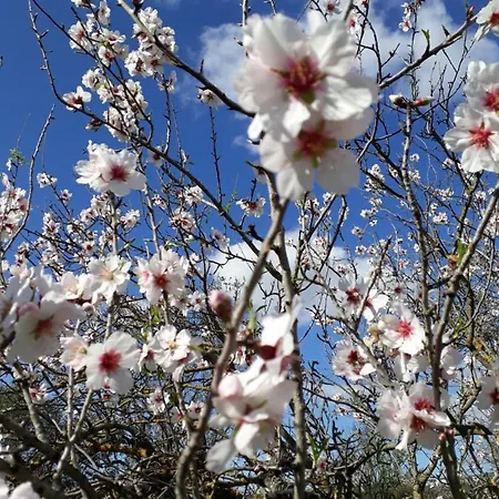 S'arrosa Antiga Santadi