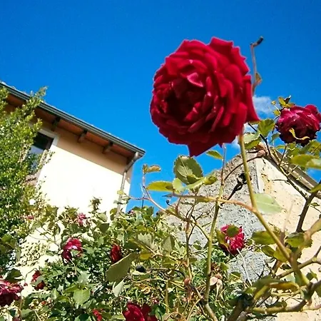 S'arrosa Antiga 3* Santadi