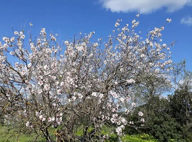Panzió S'arrosa Antiga Santadi