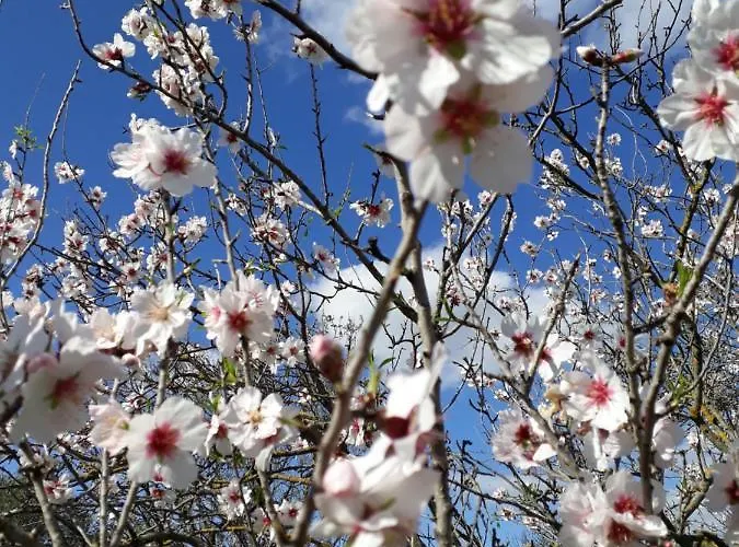 S'arrosa Antiga Santadi